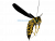 Bionic Robot “wasp Killer”
