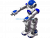 Nao Robot
